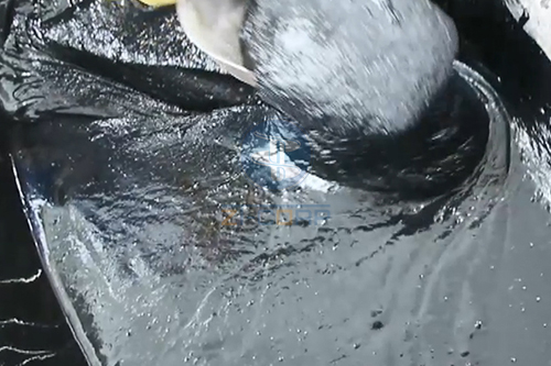 浙江活性炭滤饼挤压脱水减量